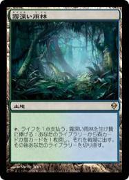 MTG 霧深い雨林 日本語版 ドラゴンスケイル 霧深い雨林ドラゴン
