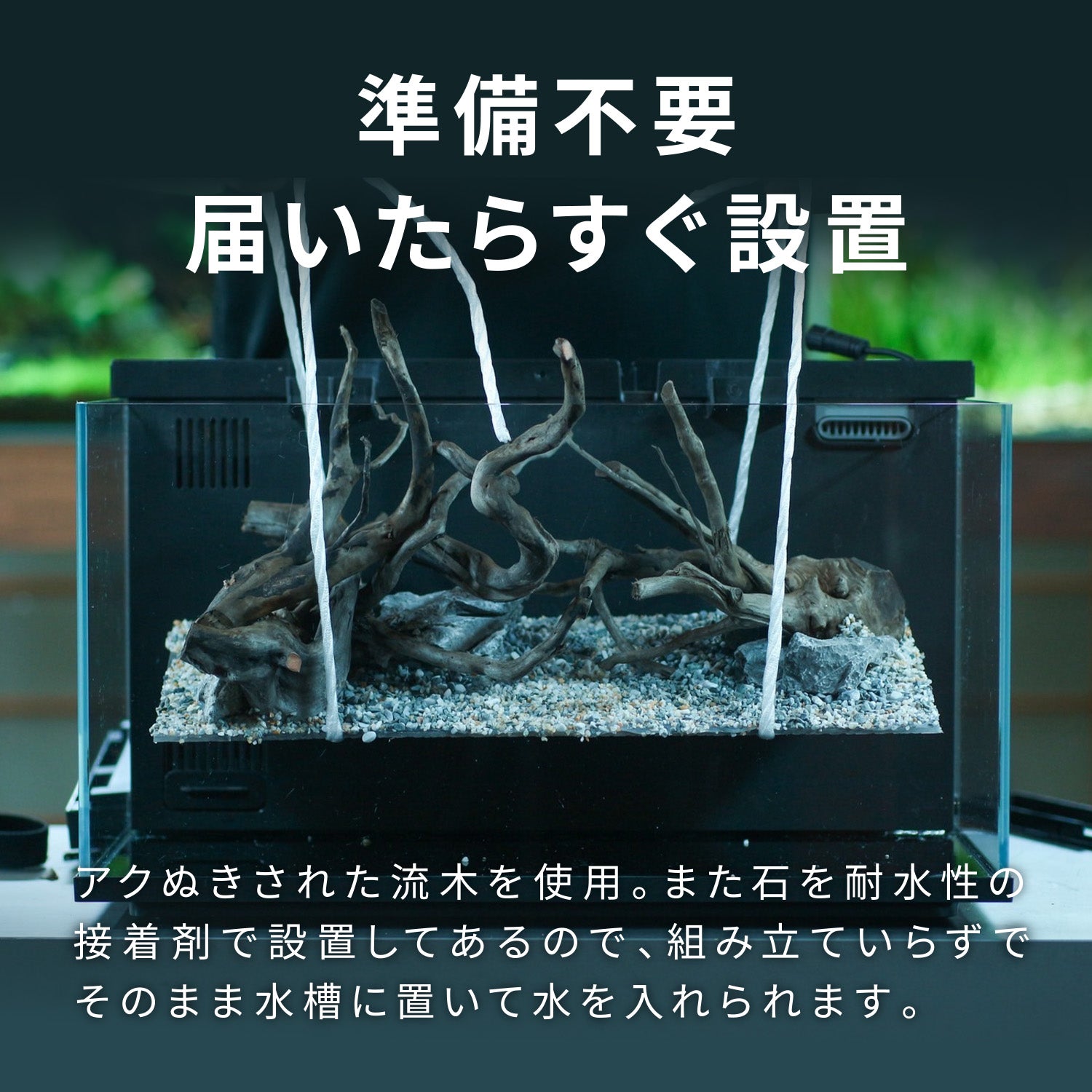 Biorium専用 レイアウトベース – Biorium公式オンラインショップ