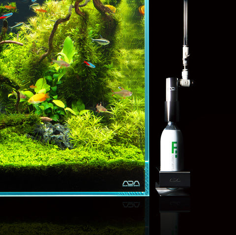 ADA CO2 Advanced System Forest – Aqua Forest Aquarium