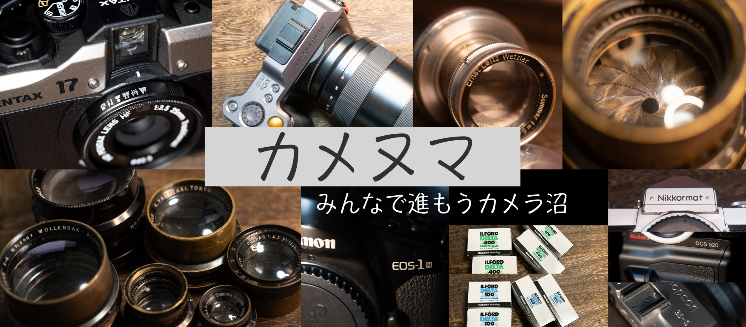 Natura Classica」はエモくてキュートないつも一緒のコンパクト