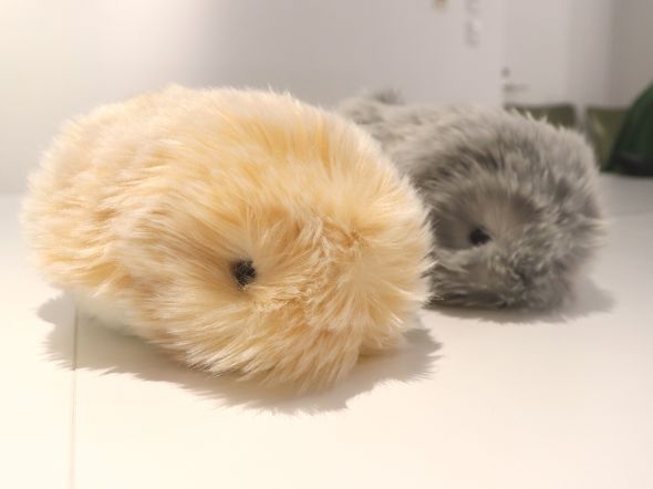 CASIO moflin モフリン ゴールド AIロボットペット 動作確認済み CASIO