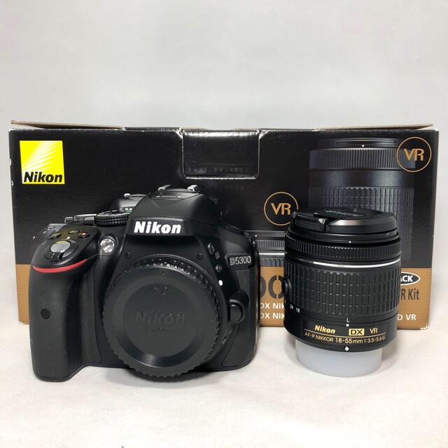 Nikon NIKKOR AF-P 18-55 70-300 レンズ セット
