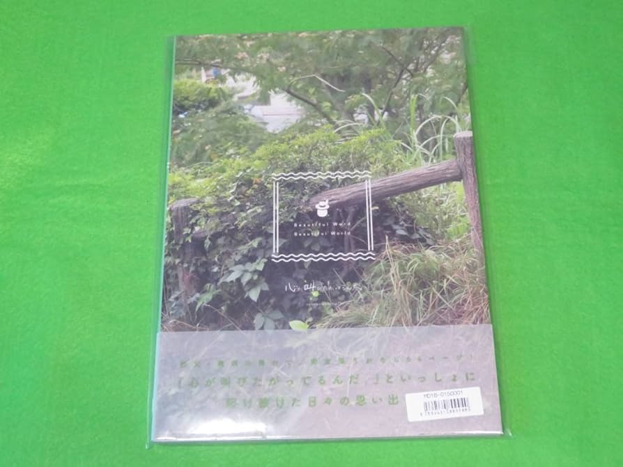Amazon.co.jp: 水瀬いのり 写真集『Beautiful Word Beautiful World 心