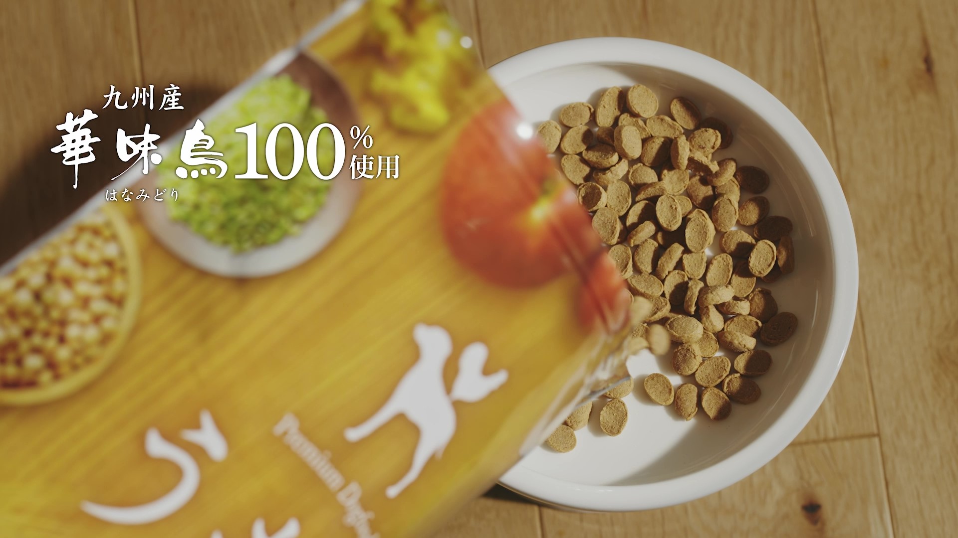 Amazon.co.jp: 華ちゃん犬猫すこやか本舗 うまか ドッグフード【 国産