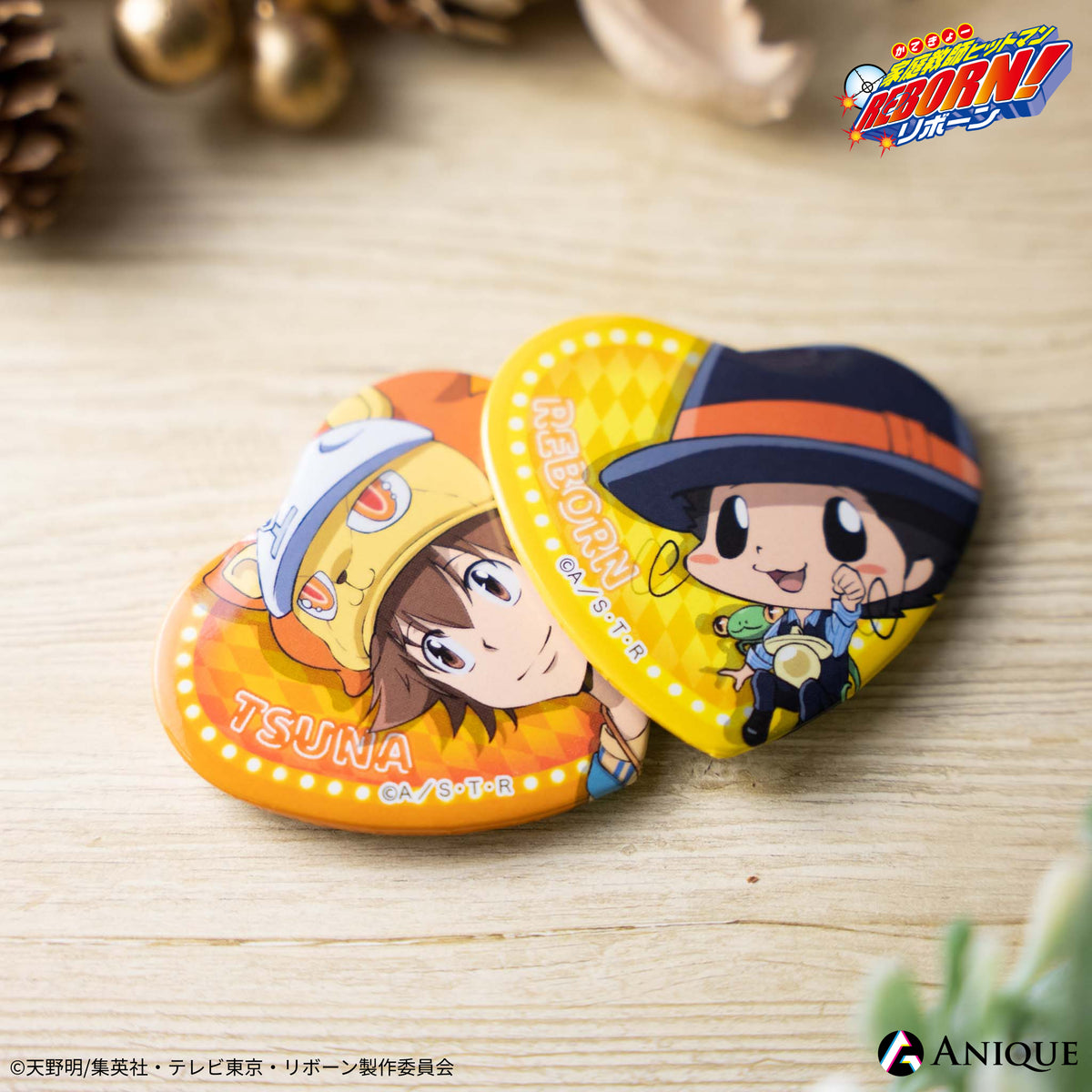 家庭教師ヒットマンREBORN! 天野明展 缶バッジ 六道骸 フラン