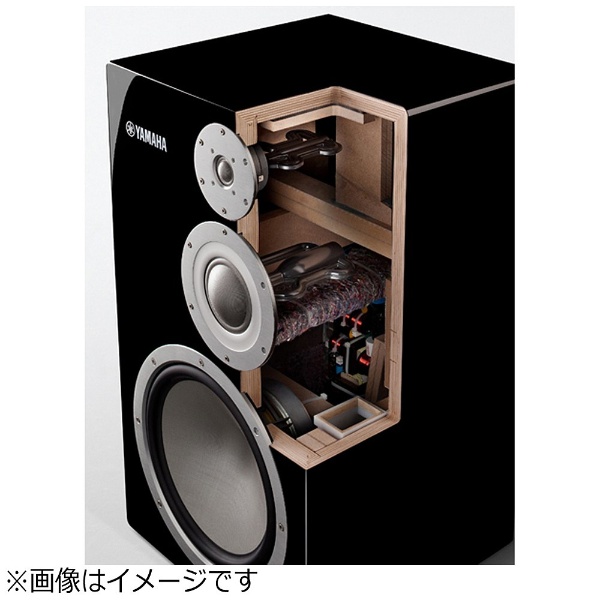 Penaudio cenya ブックシェルフスピーカー